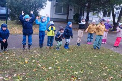 IMG_20221005_101114