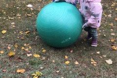 image2-1