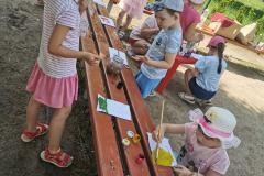 IMG_20220630_102420